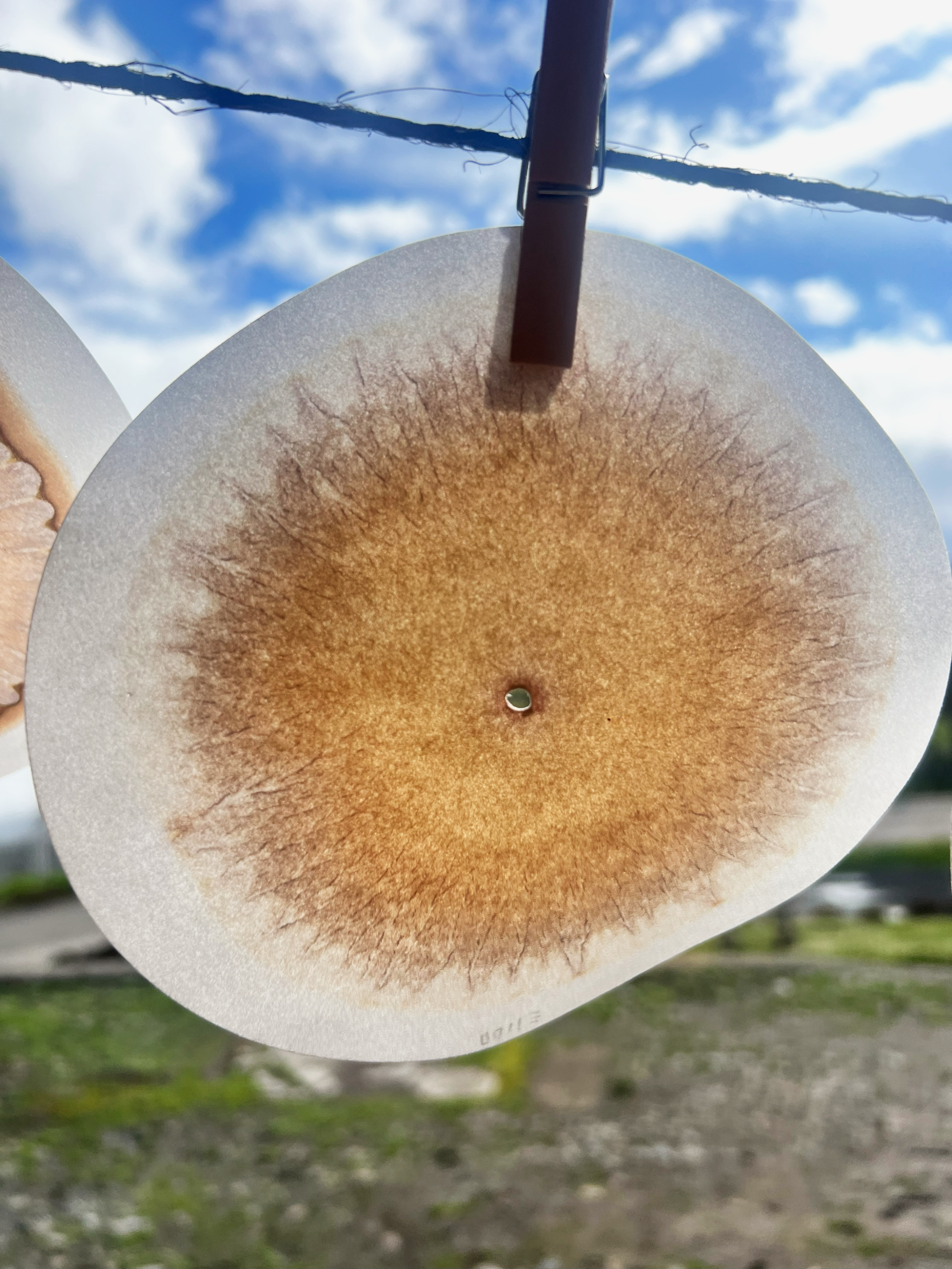 Cromatografía – imagen 1