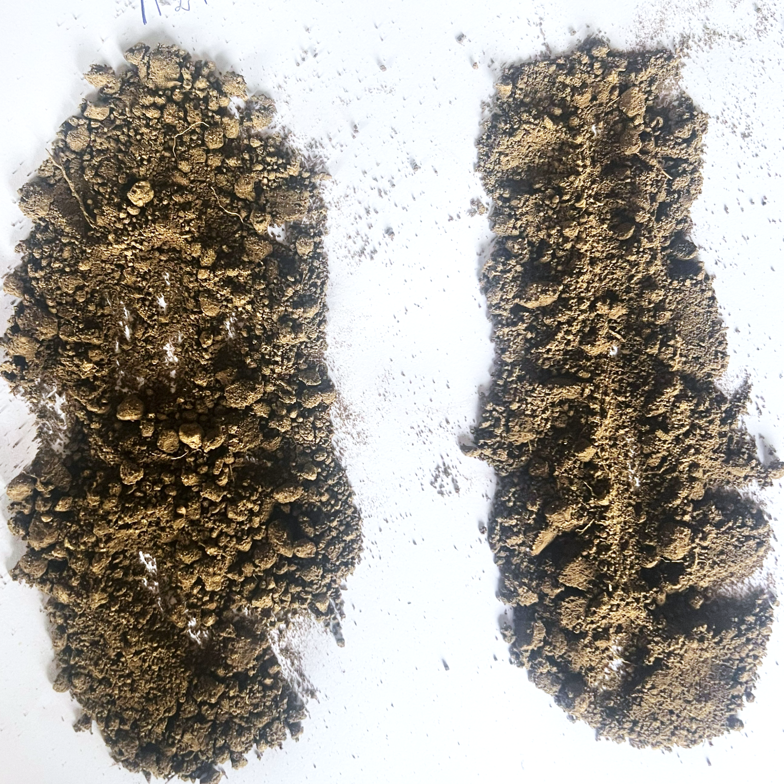 Cromatografía – imagen 5