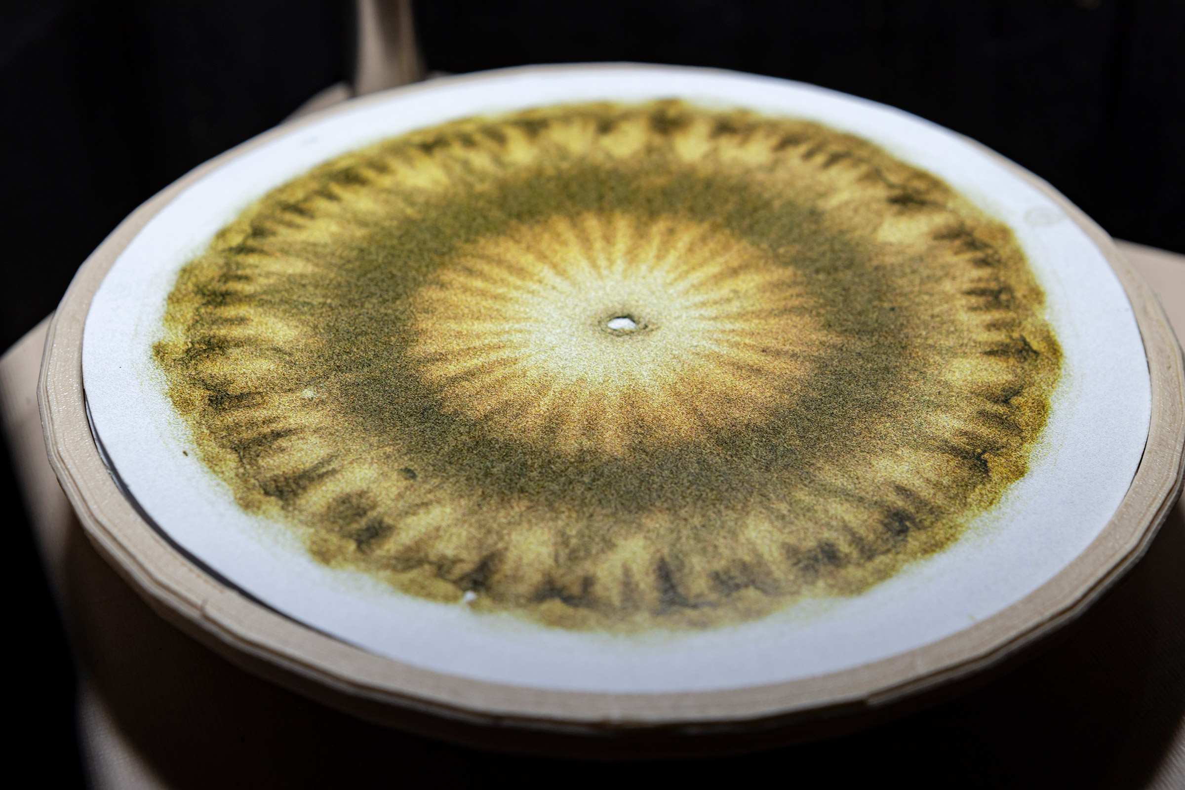 Motor y soporte – imagen 3